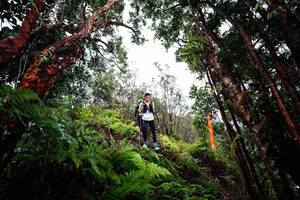 BIB: 
                            <button type="button" onclick="openModal(26202121)" class="btn btn-primary btn-sm float-right btn-popup" data-toggle="modal" data-target=".modal-high-quality">
                        <i class="fas fa-shopping-cart"></i> Add to Cart
                    </button>
                                            <button type="button" onclick="isThisMe(26202121, true)" class="btn btn-success btn-sm float-right btn-popup btn-isme hidden" data-toggle="tooltip" data-placement="bottom" title="นี่คือรูปของคุณใช่ไหม คลิกที่นี่เพื่อเอาเข้าอัลบั้ม">
                        <i class="fas fa-plus"></i> Add to album
                    </button>
                    <button type="button" onclick="isThisMe(26202121, false)" class="btn btn-warning btn-sm float-right btn-popup btn-isnotme hidden">
                        <i class="fas fa-ban"></i> Remove from album
                    </button>